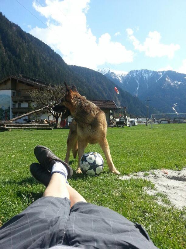 Grosszuegiges Apartment Georg Mayrhofen Barrierefrei Hollenzen Екстериор снимка